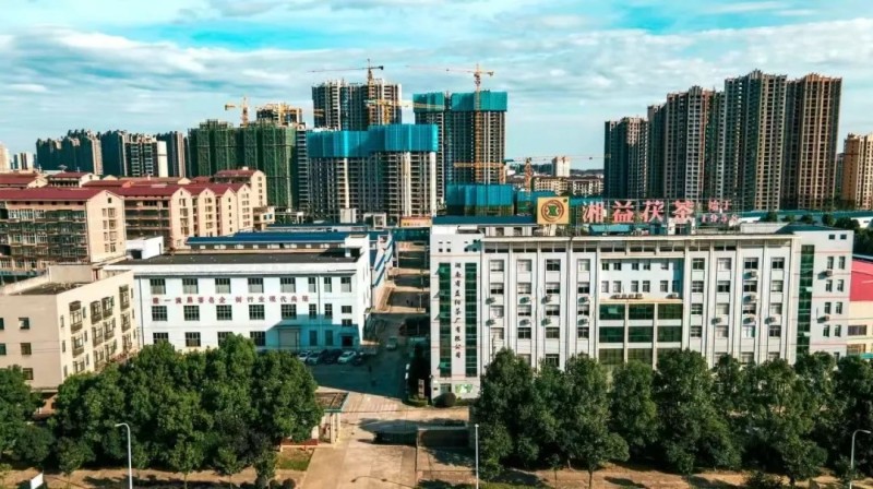 集團(tuán)益陽茶廠作為益陽市唯一企業(yè)入選首批省級(jí)非物質(zhì)文化遺產(chǎn)生產(chǎn)性保護(hù)基地彰顯非遺傳承硬實(shí)力