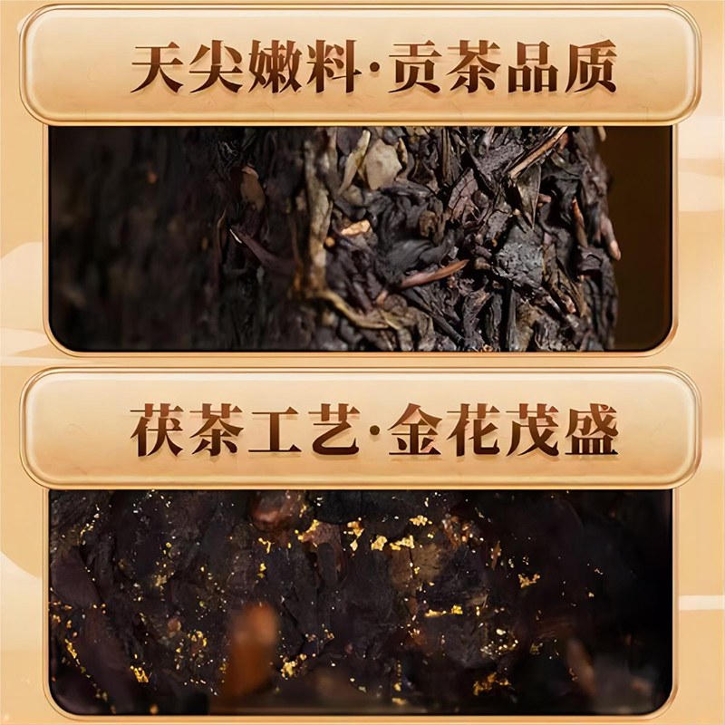 三年陳天茯茶