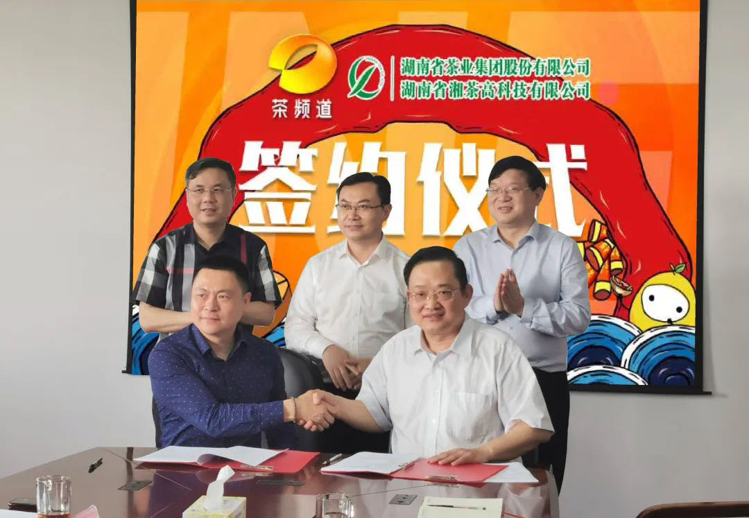 院士見證，輕輕茶發(fā)力品牌建設(shè)，與茶頻道達成深度合作